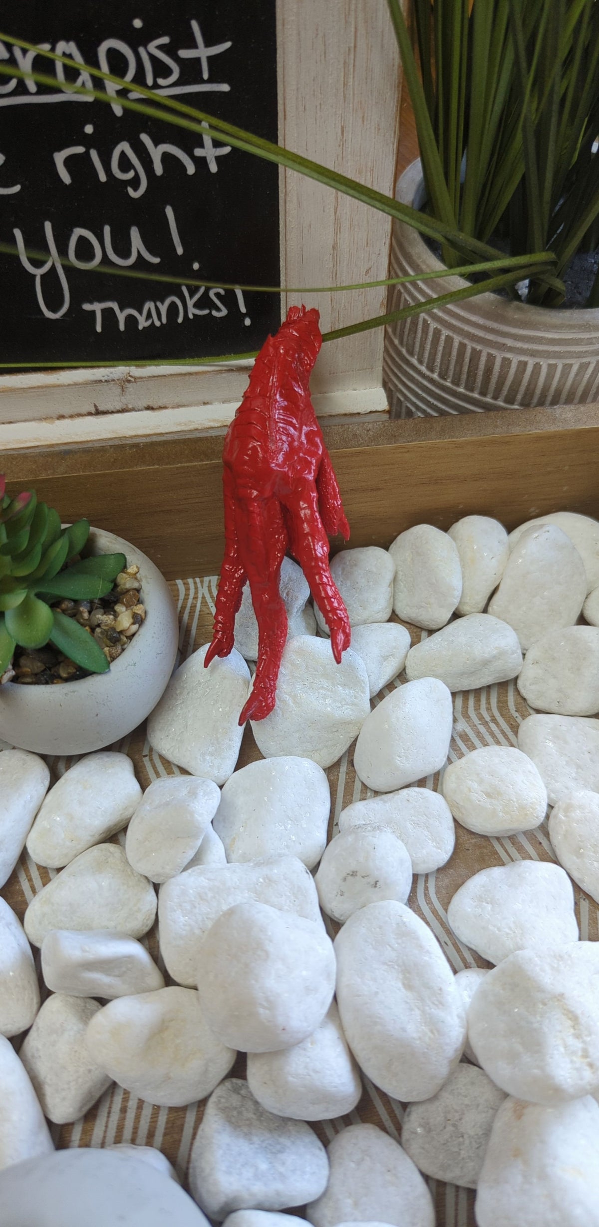 Charmed Chicken Foot