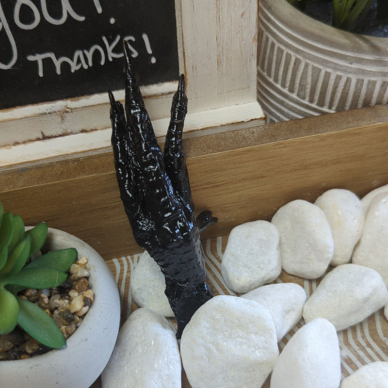 Charmed Protection Chicken Foot for spiritual protection and balance.