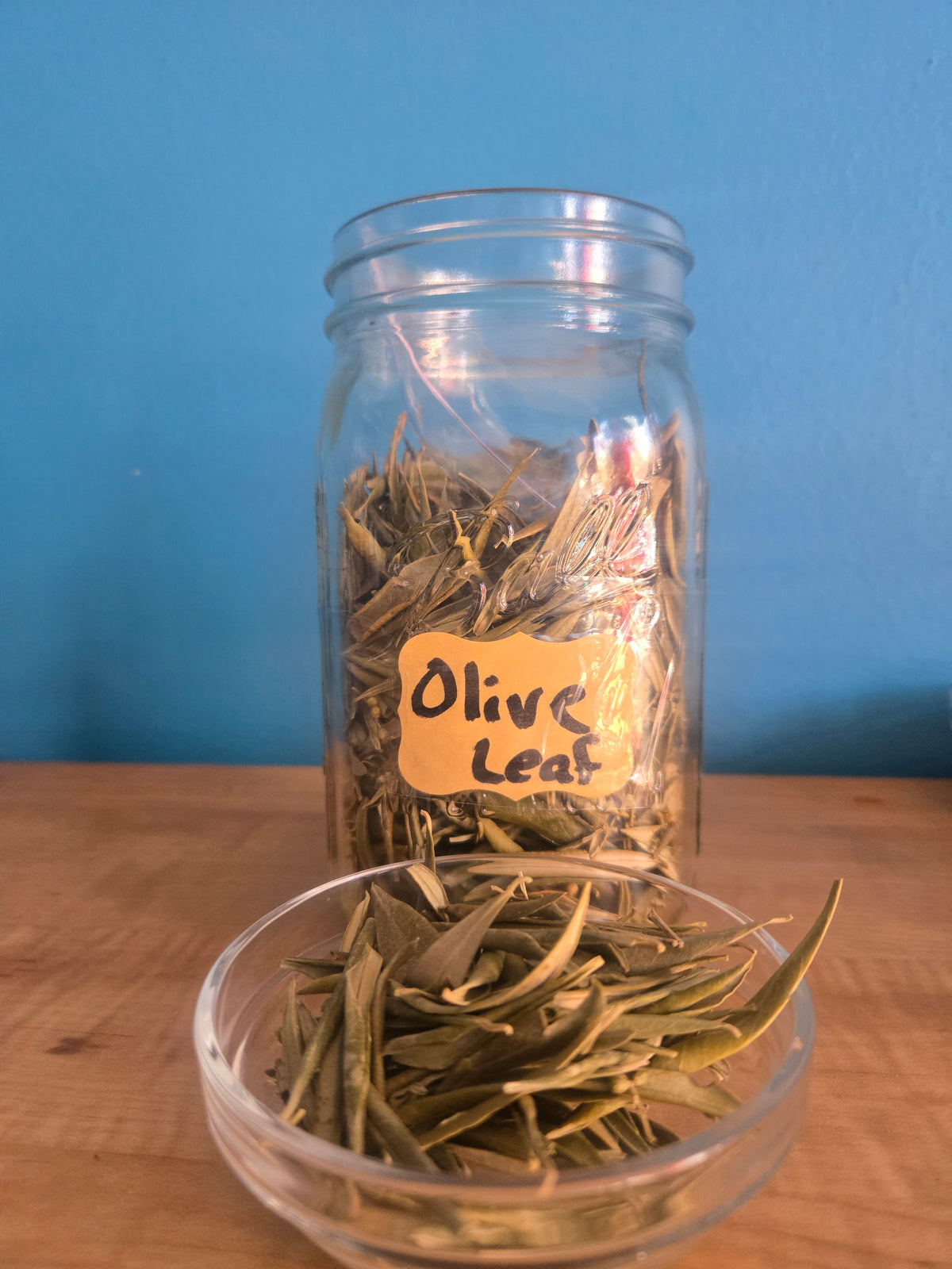 Olive Herb Leaf