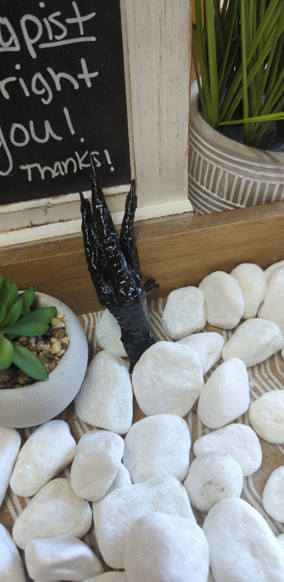 Charmed Protection Chicken Foot for spiritual protection and balance.